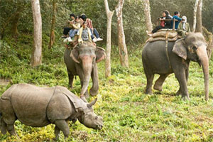 Pangot Wildlife India Tour